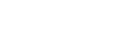 The Show Ottawa